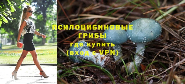эйфоретик Горняк