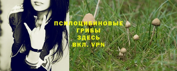 эйфоретик Вязники