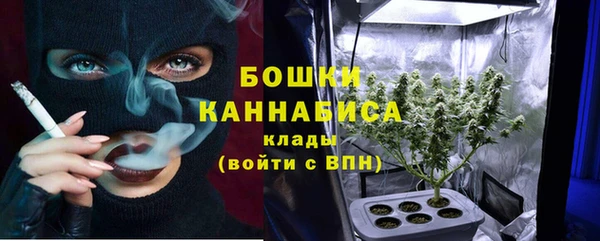 стаф Горнозаводск