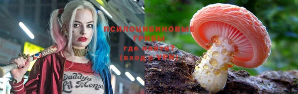 Альфа ПВП Снежинск